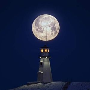 Meet your Posher, Sally